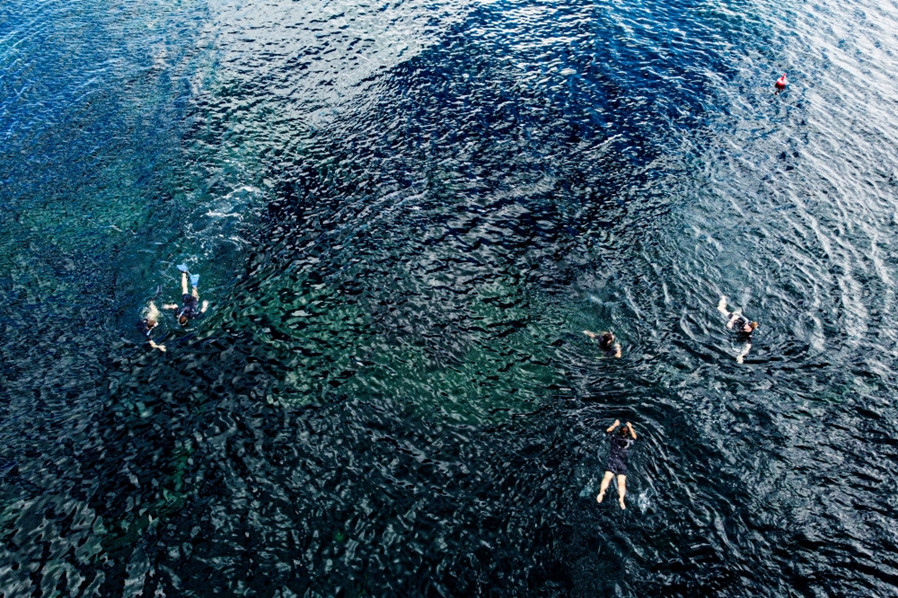 ZENITH真力时携手MEDSEA基金会启动海草复植计划令地中海重新焕发勃勃生机.jpg
