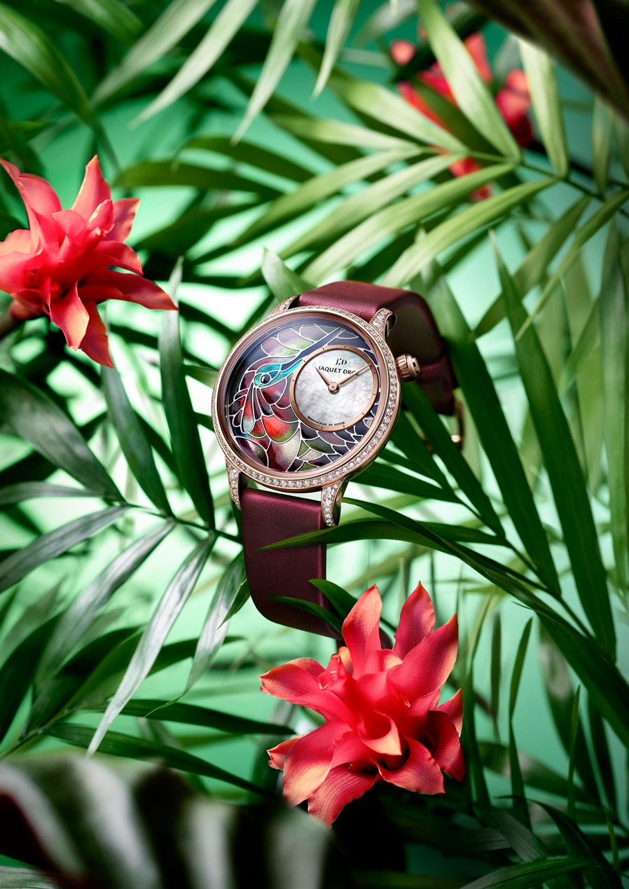 J005503501_PETITE HEURE MINUTE SMALTA CLARA HUMMINGBIRD_AMBIANCE_毒霸看图.jpg J005503501_PETITE HEURE MINUTE SMALTA CLARA HUMMINGBIRD_AMBIANCE_毒霸看图.jpg