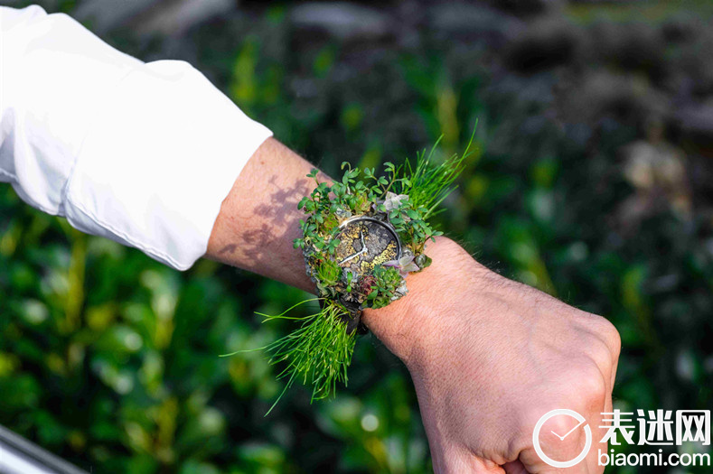 Moser Nature Watch-1.jpg