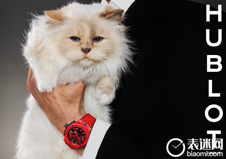 全球知名宠猫CHOUPETTE倾情演绎HUBLOT宇舶表BIG BANG系列20周年广告大片.jpg