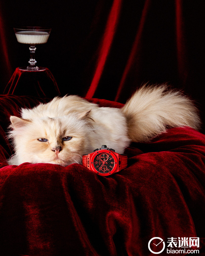 全球知名宠猫CHOUPETTE倾情演绎HUBLOT宇舶表BIG BANG系列20周年广告大片 (3).jpg